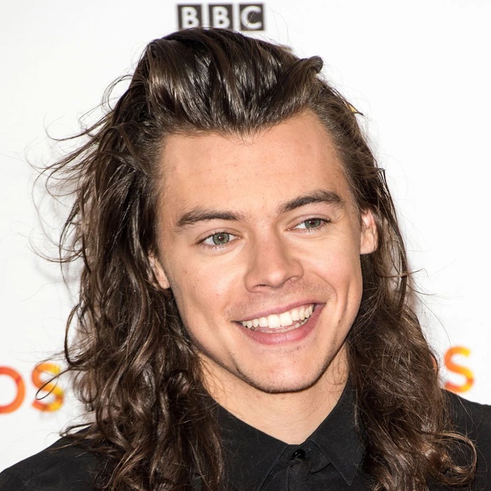Long Hair Harry ✨🦋