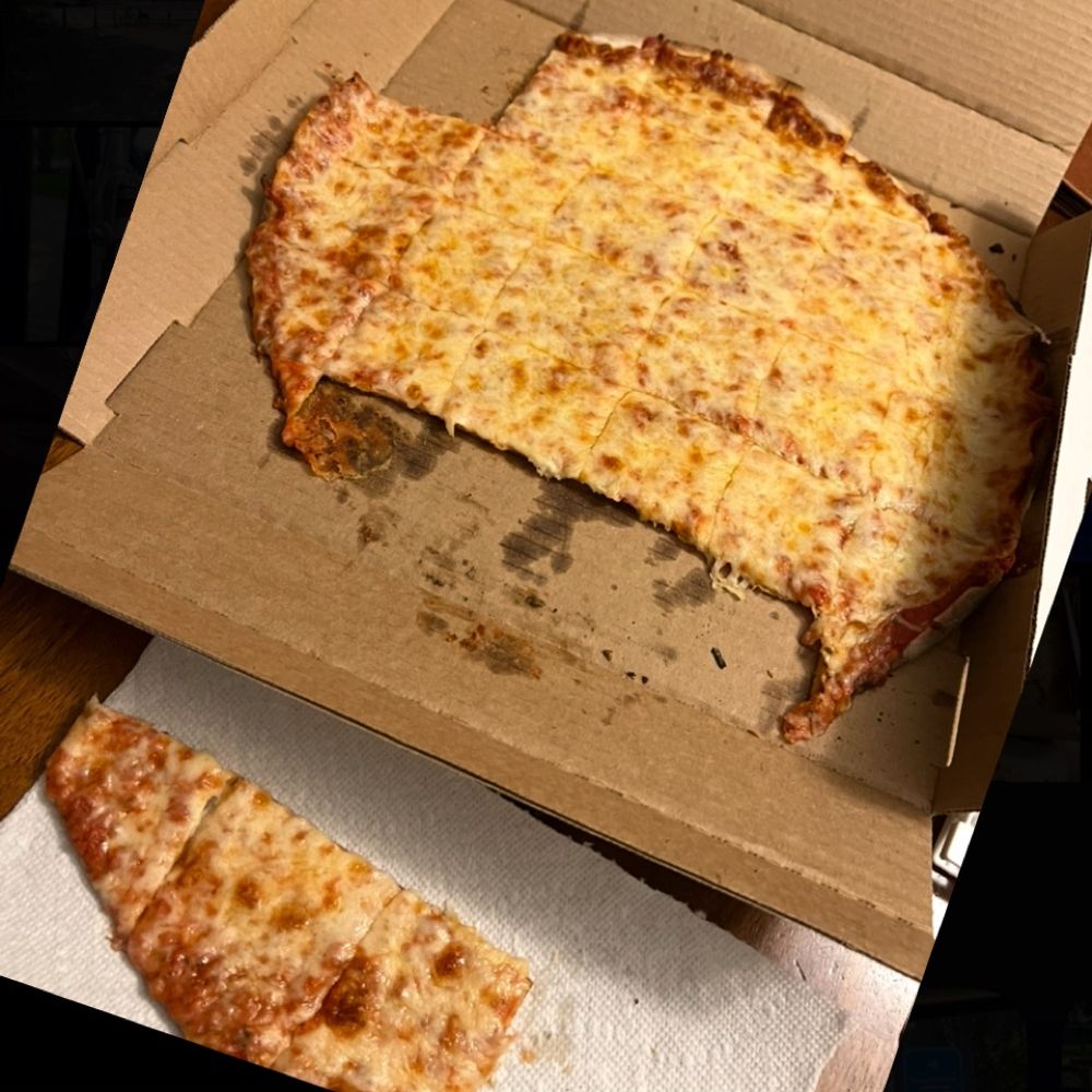 Cartilage Pizza