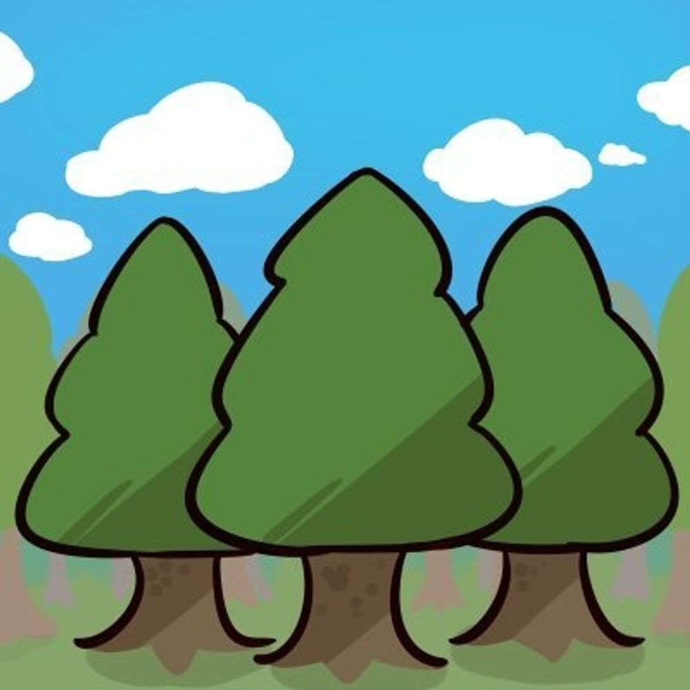 🌲すぎ🌲