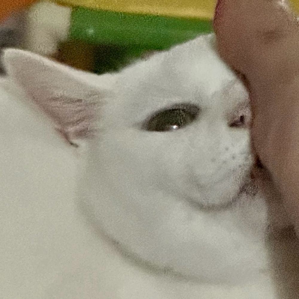 ひろぽん