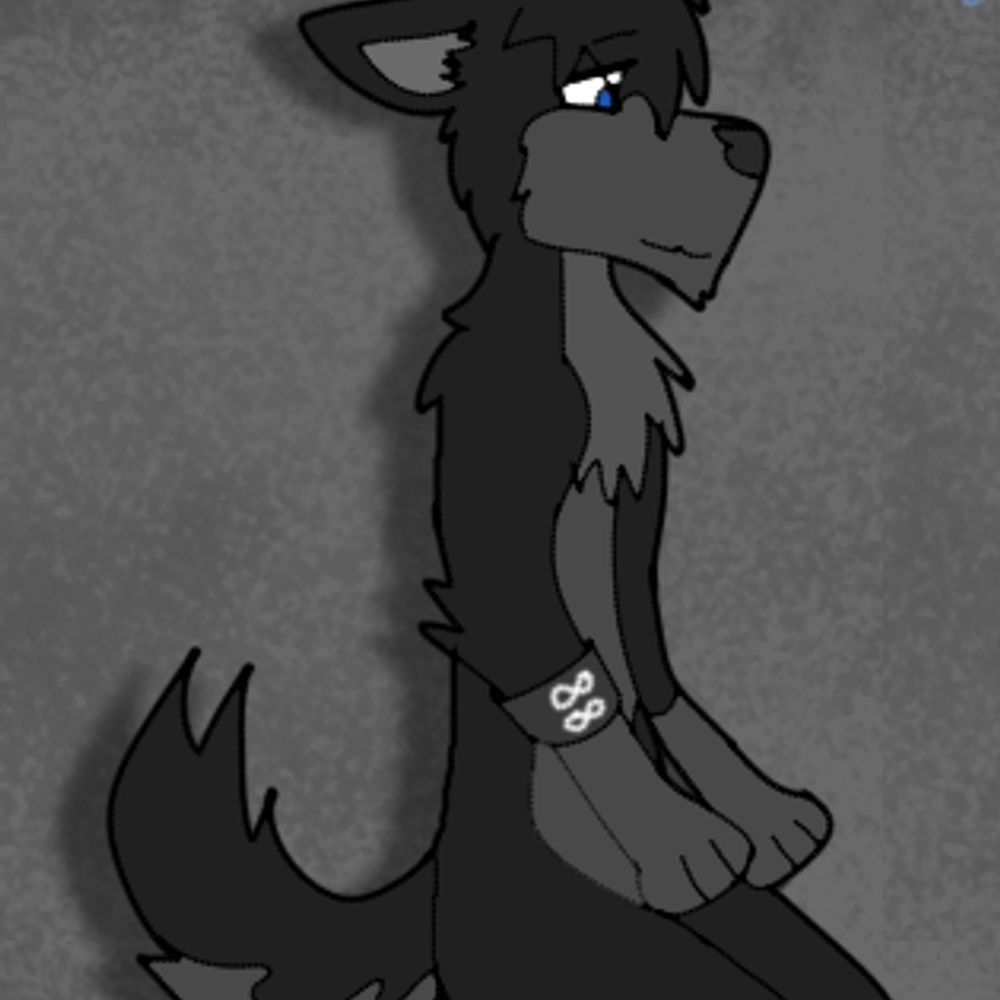🐺✝️☮️ Raven the Hateless Wolf ☮️✝️🐺