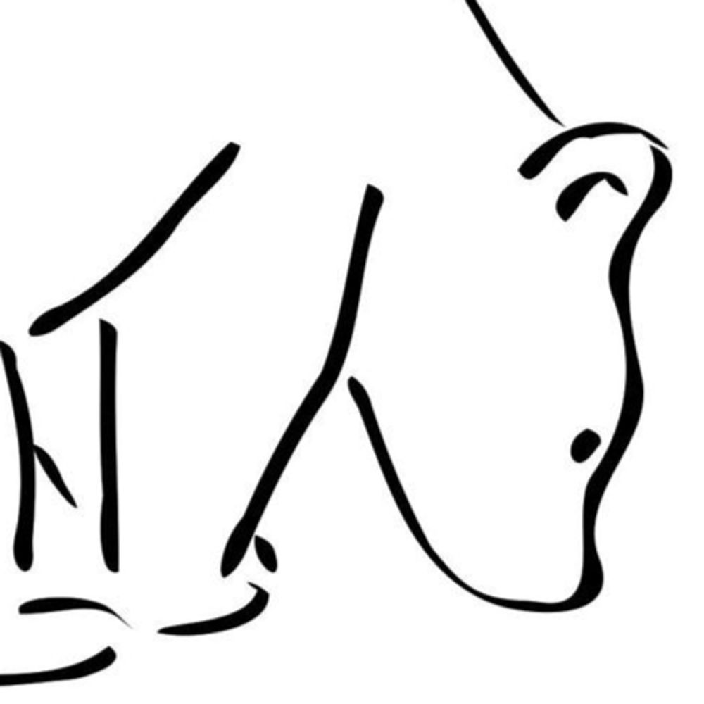 Eisbär