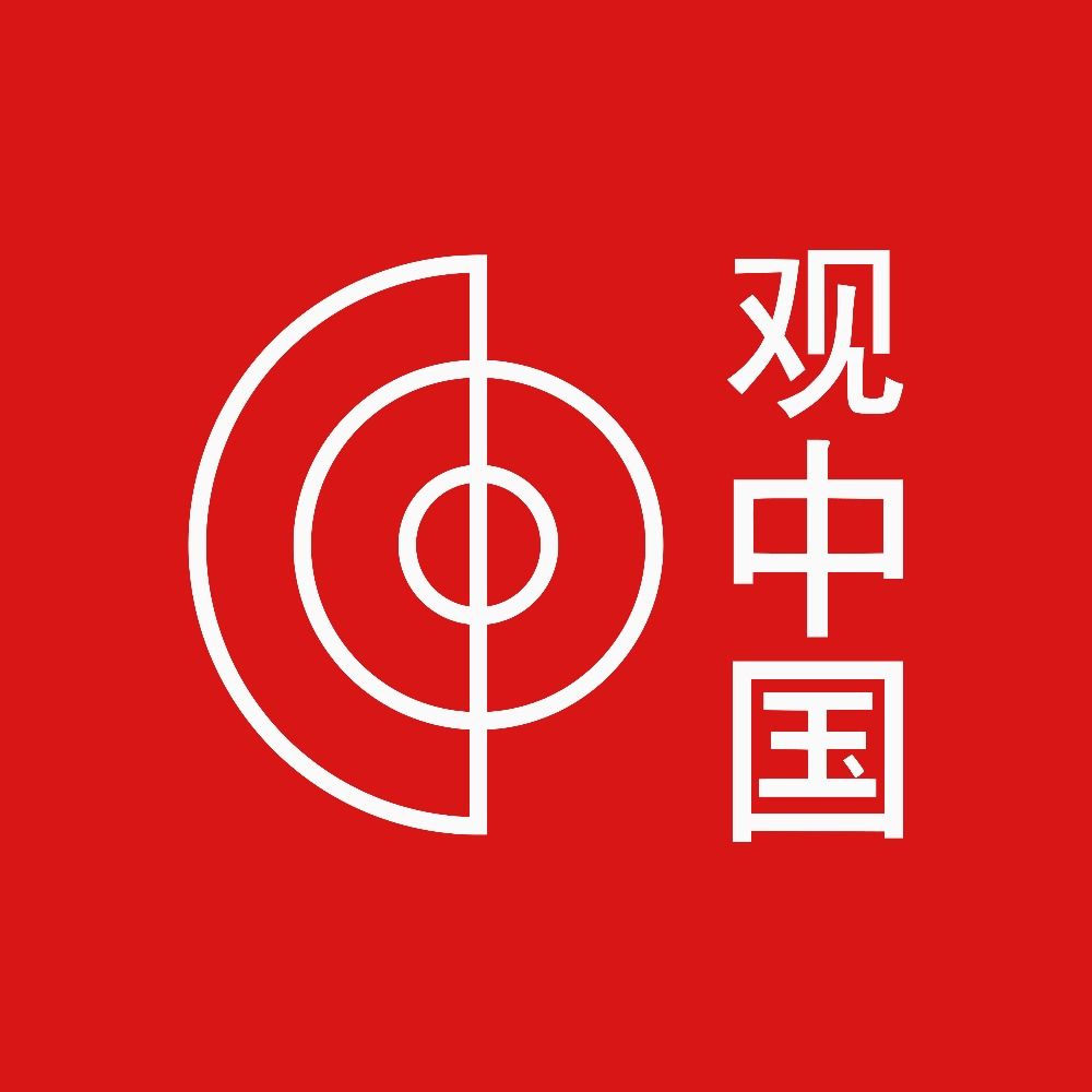 Observa China 观中国