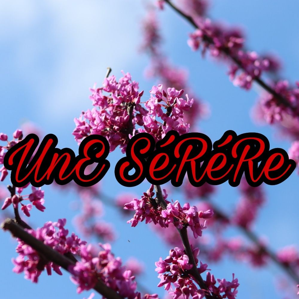 UnE SéRéRe🖤