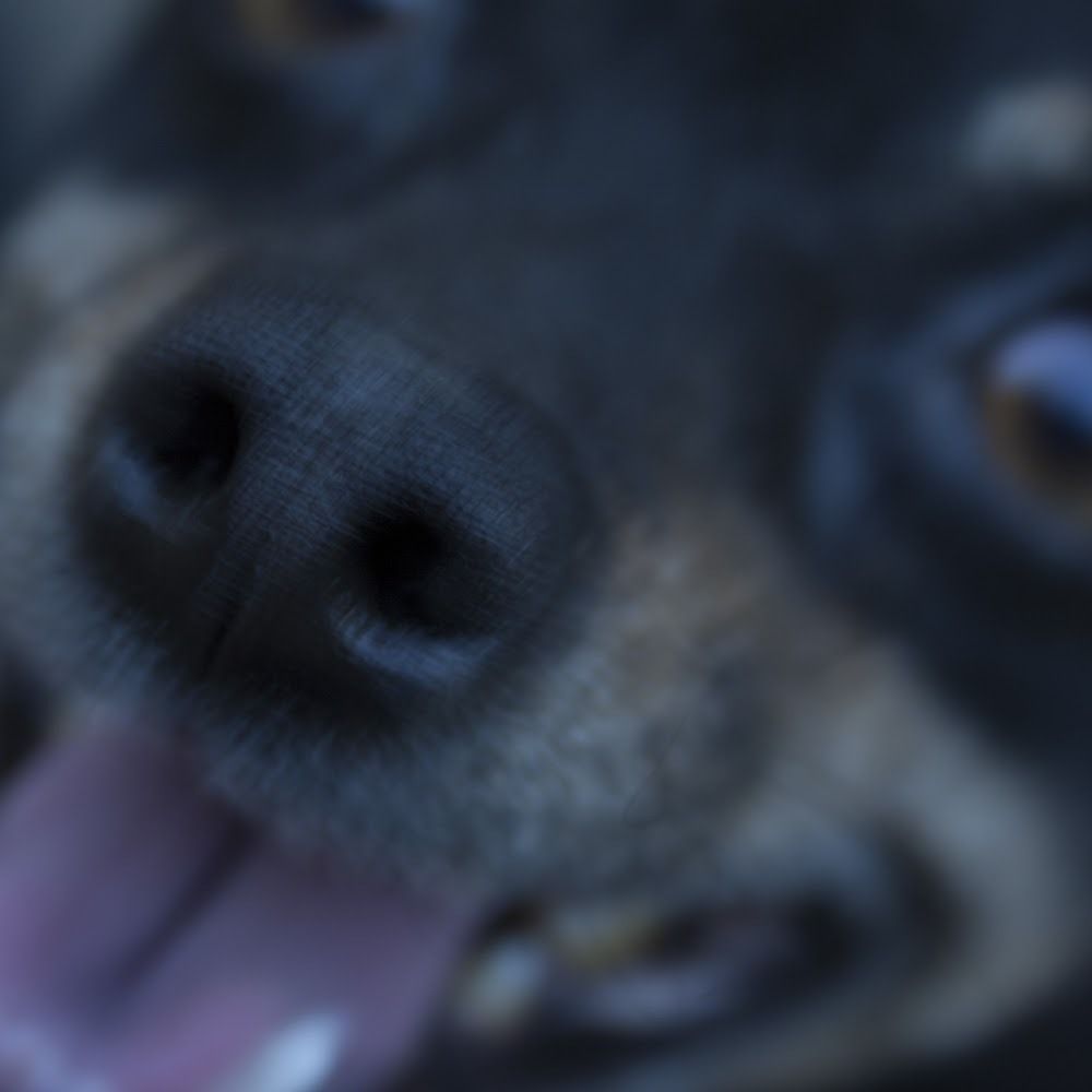 Snix