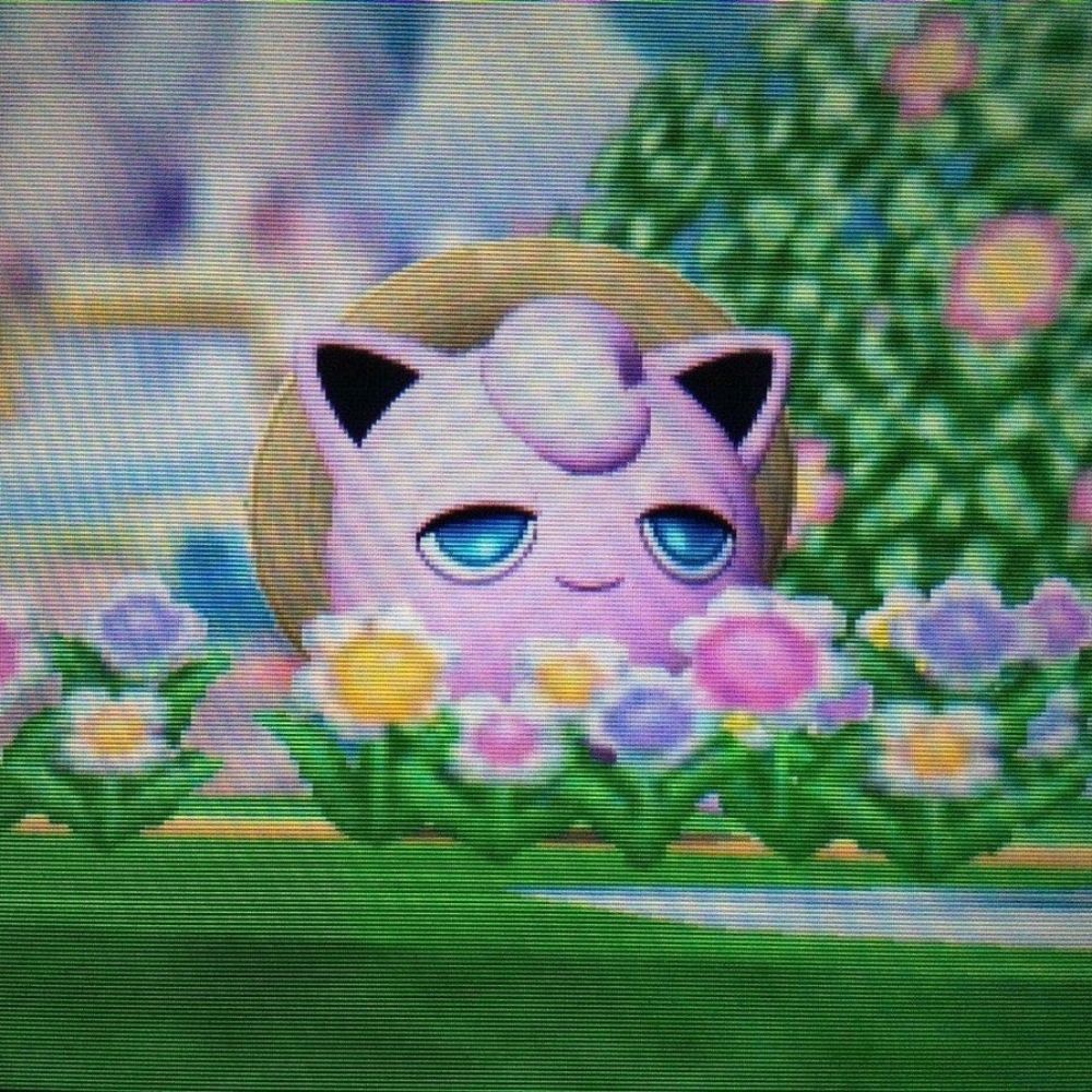 🍒🍊🍋 rama 🥑🫐🍇