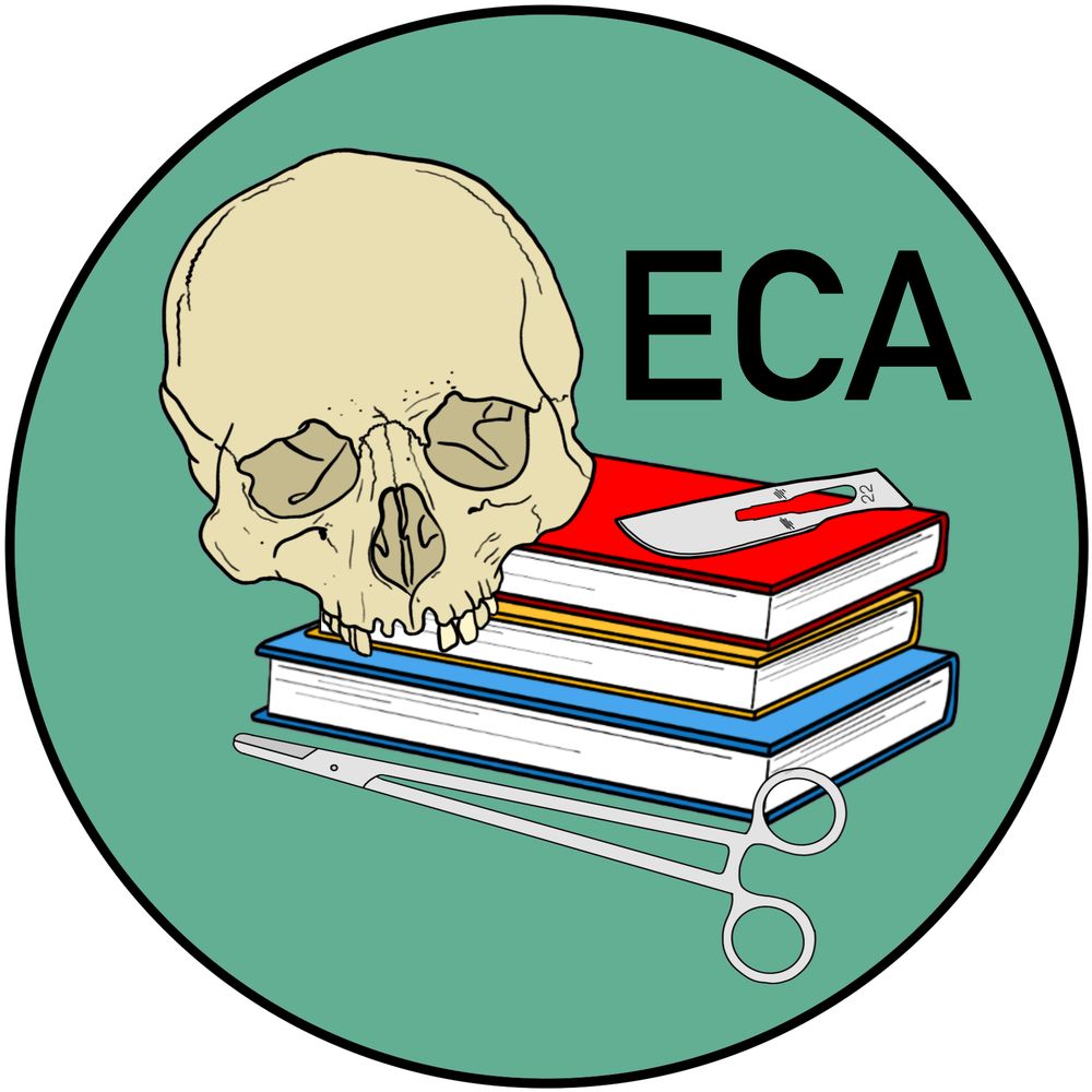 Early Career Anatomists