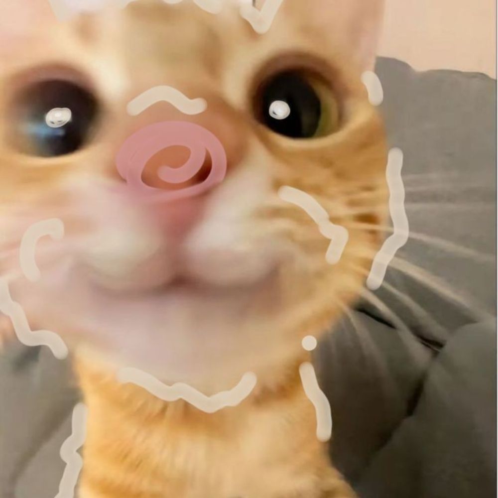 nini ⚢