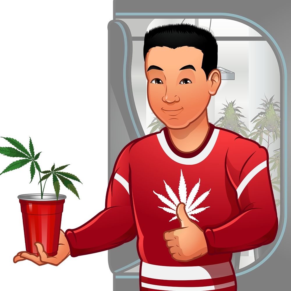 CanuckleBudz