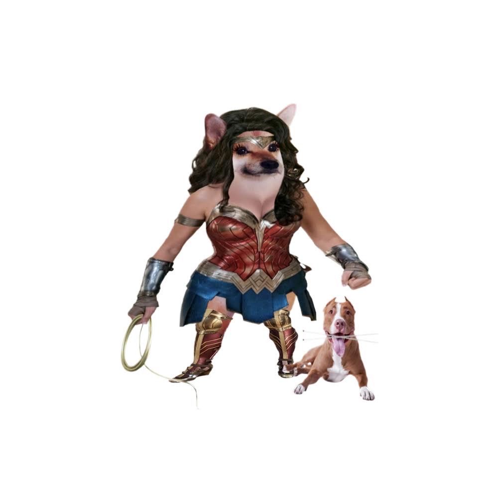 Wonder Woman of NAFO's avatar