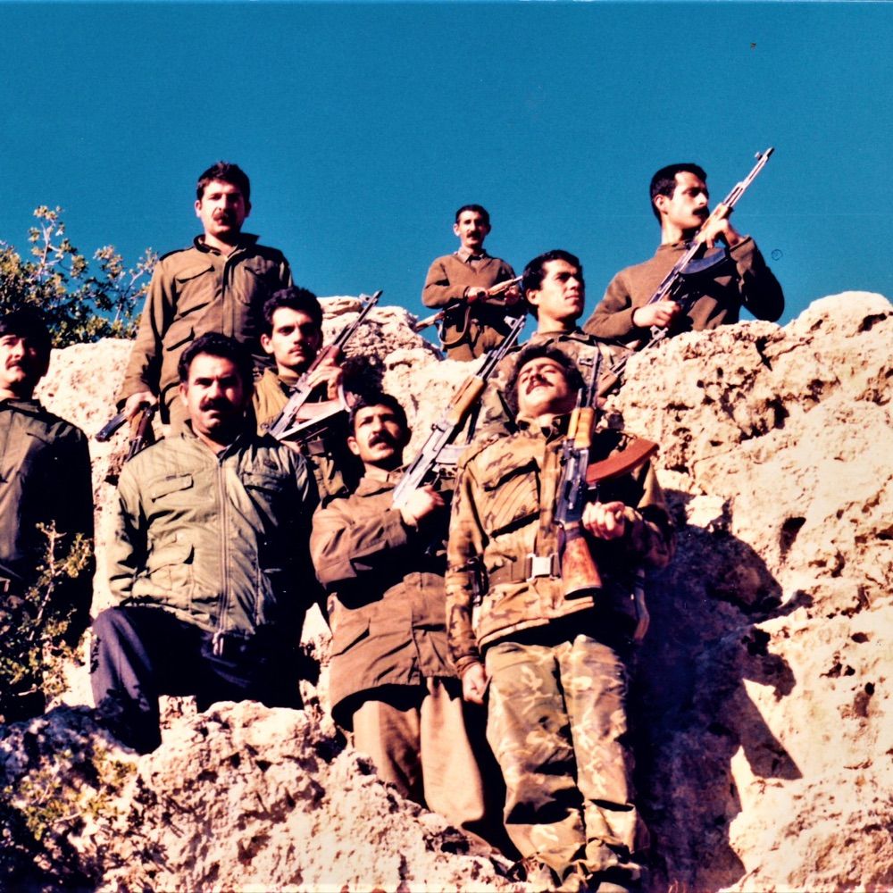 özgür konfederal