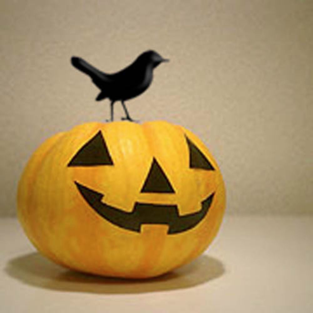 てっけん🎃Hayato Ikeya