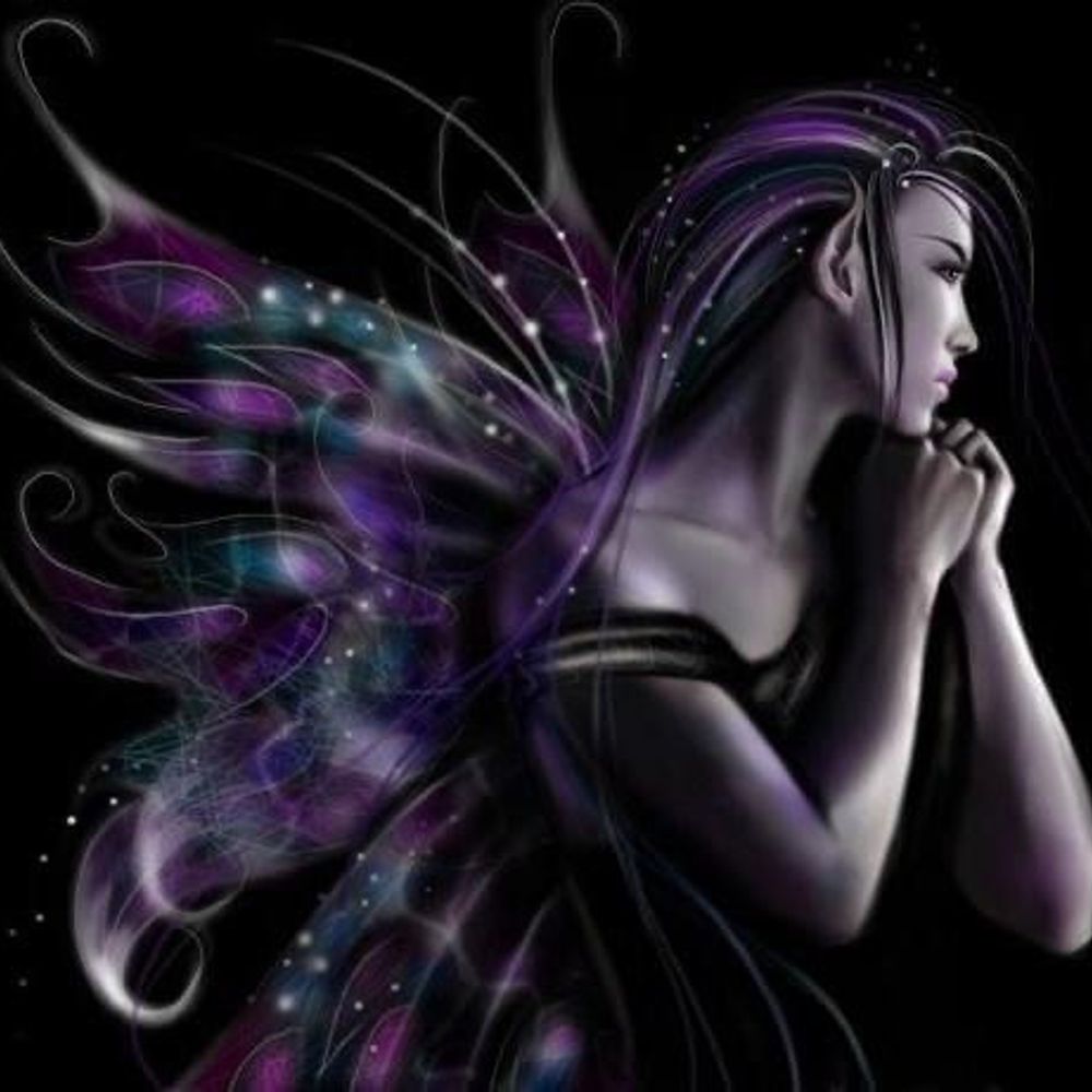 🦋  Raven 🦋