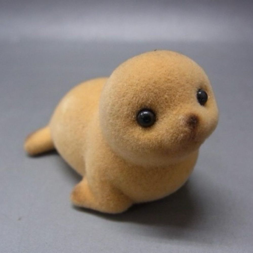 푸푸