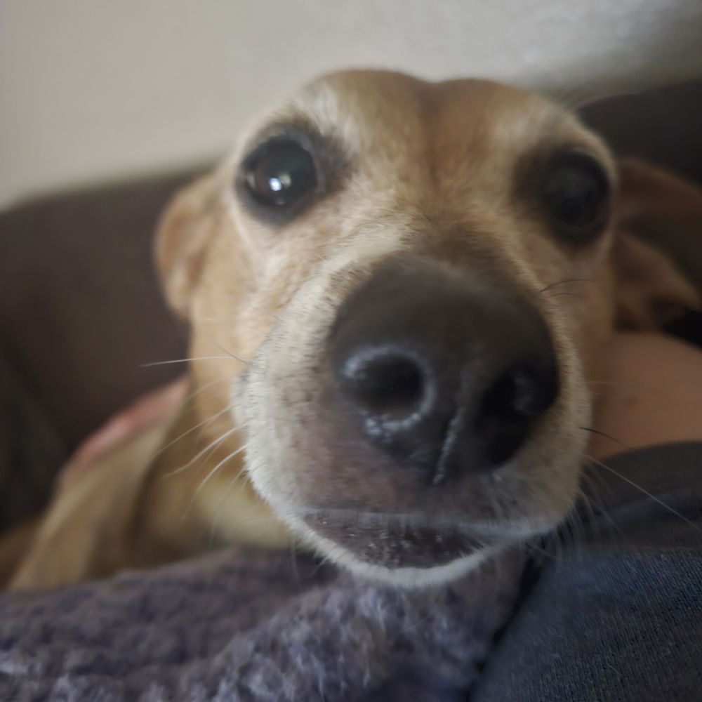 Lydia