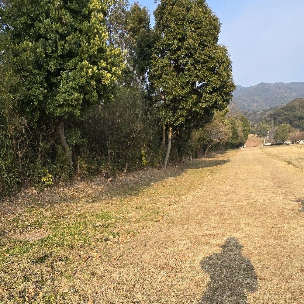 どるまる