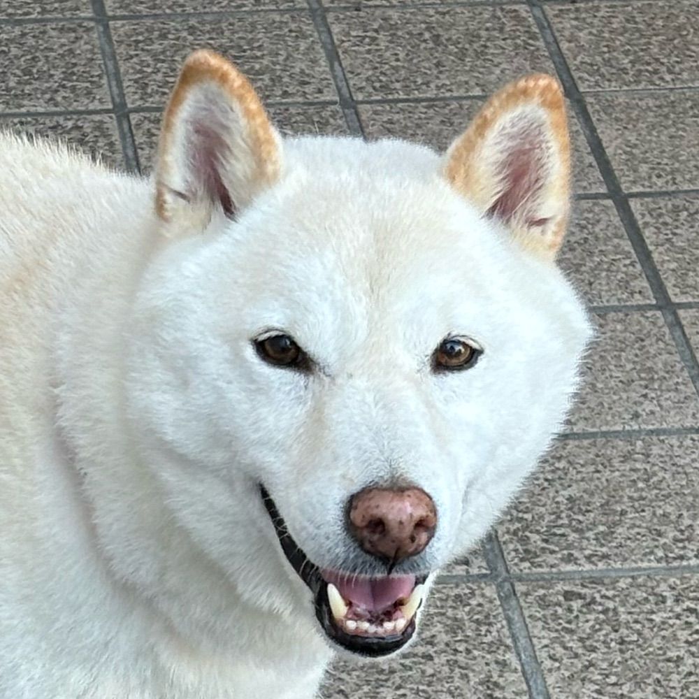 ぼっつん