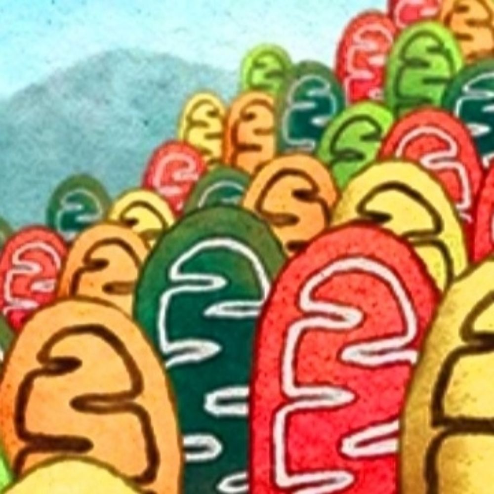 MitoMavericks