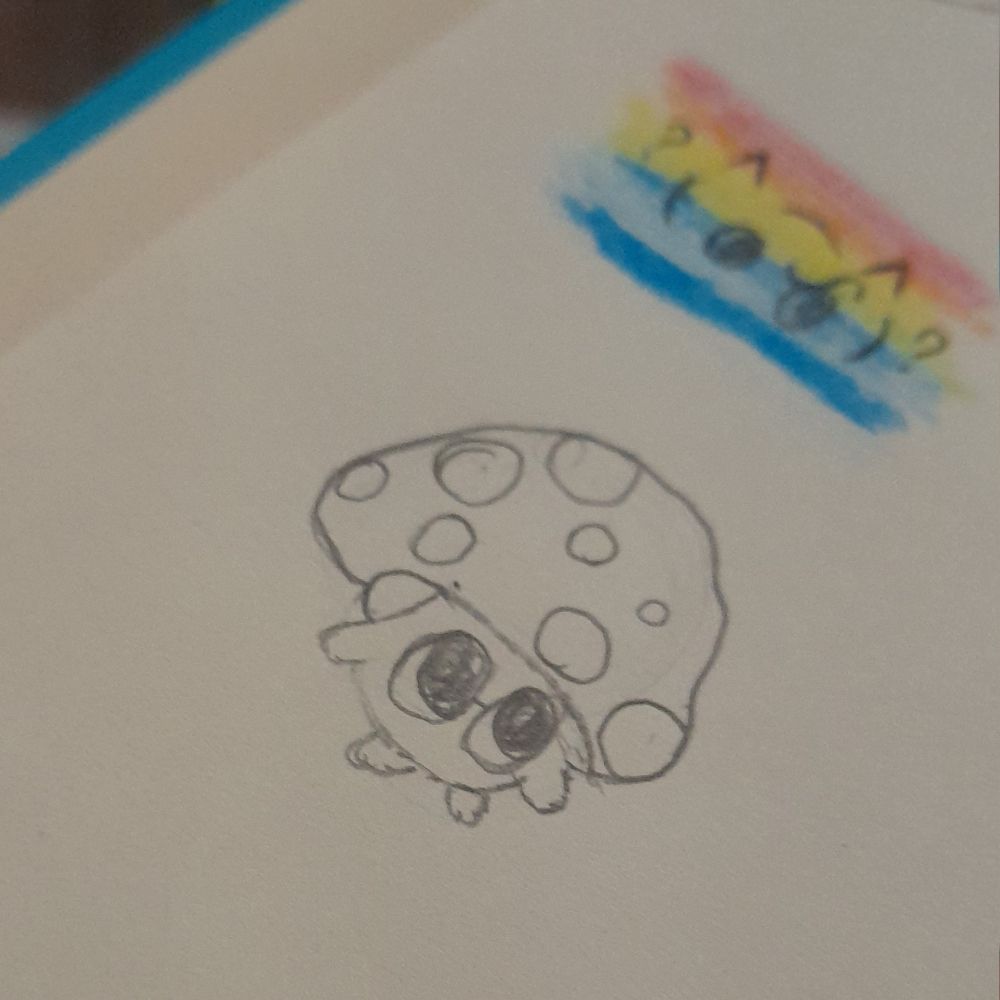 Cookie