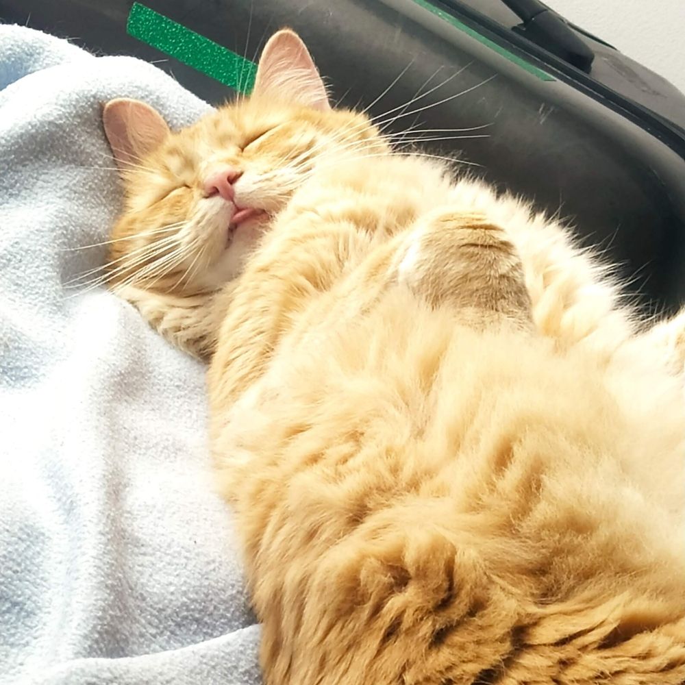 Nuno
