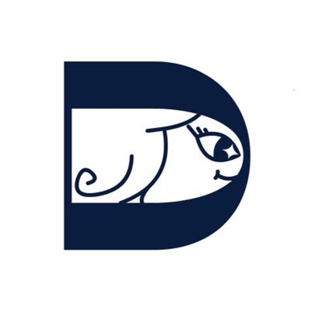 divaconference.bsky.social