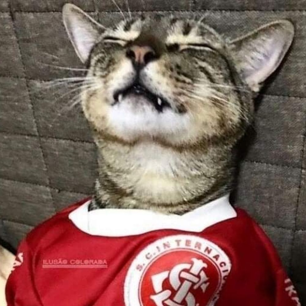 Fuzz 🇦🇹