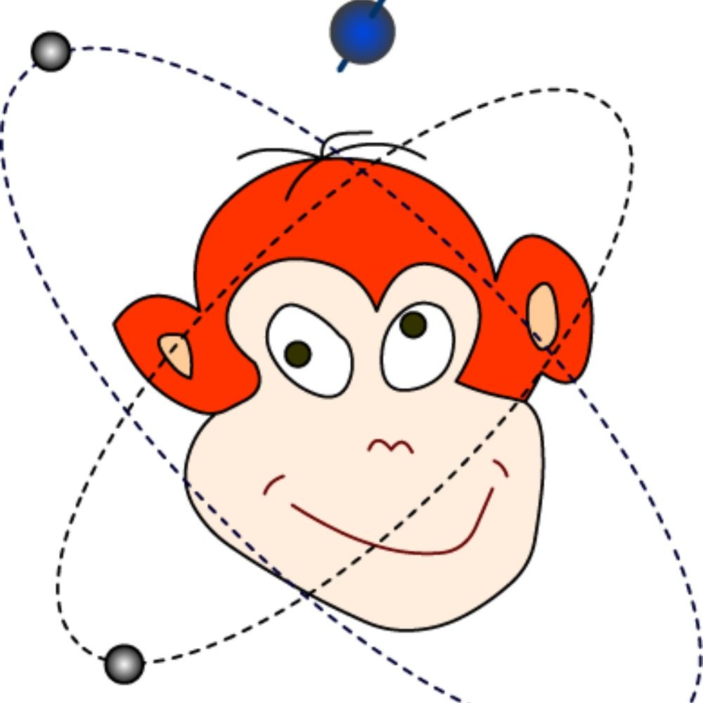 Decision and Awareness Group, German Primate Center