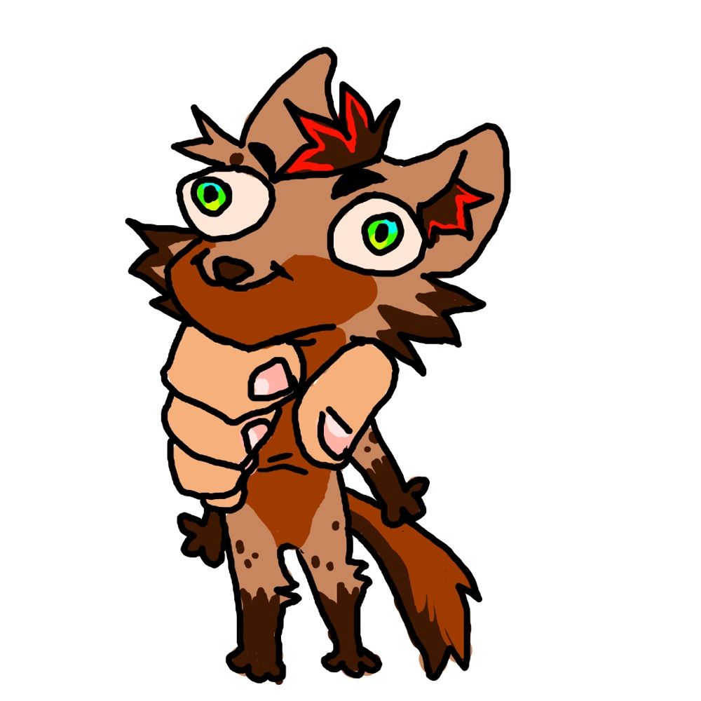Jaxxo