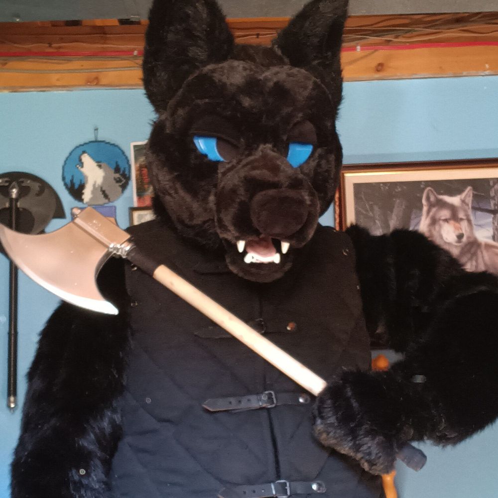 Sir shadow wolf