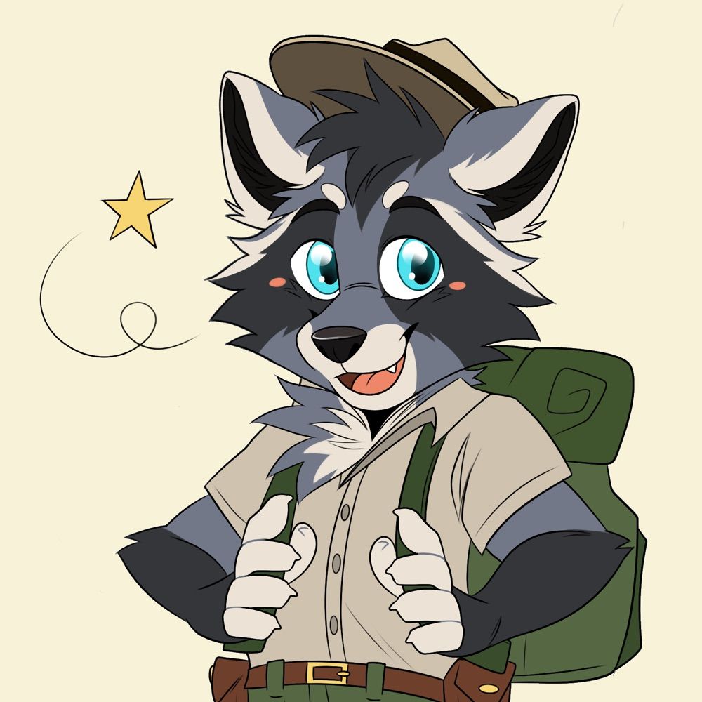 Rowan Raccoon