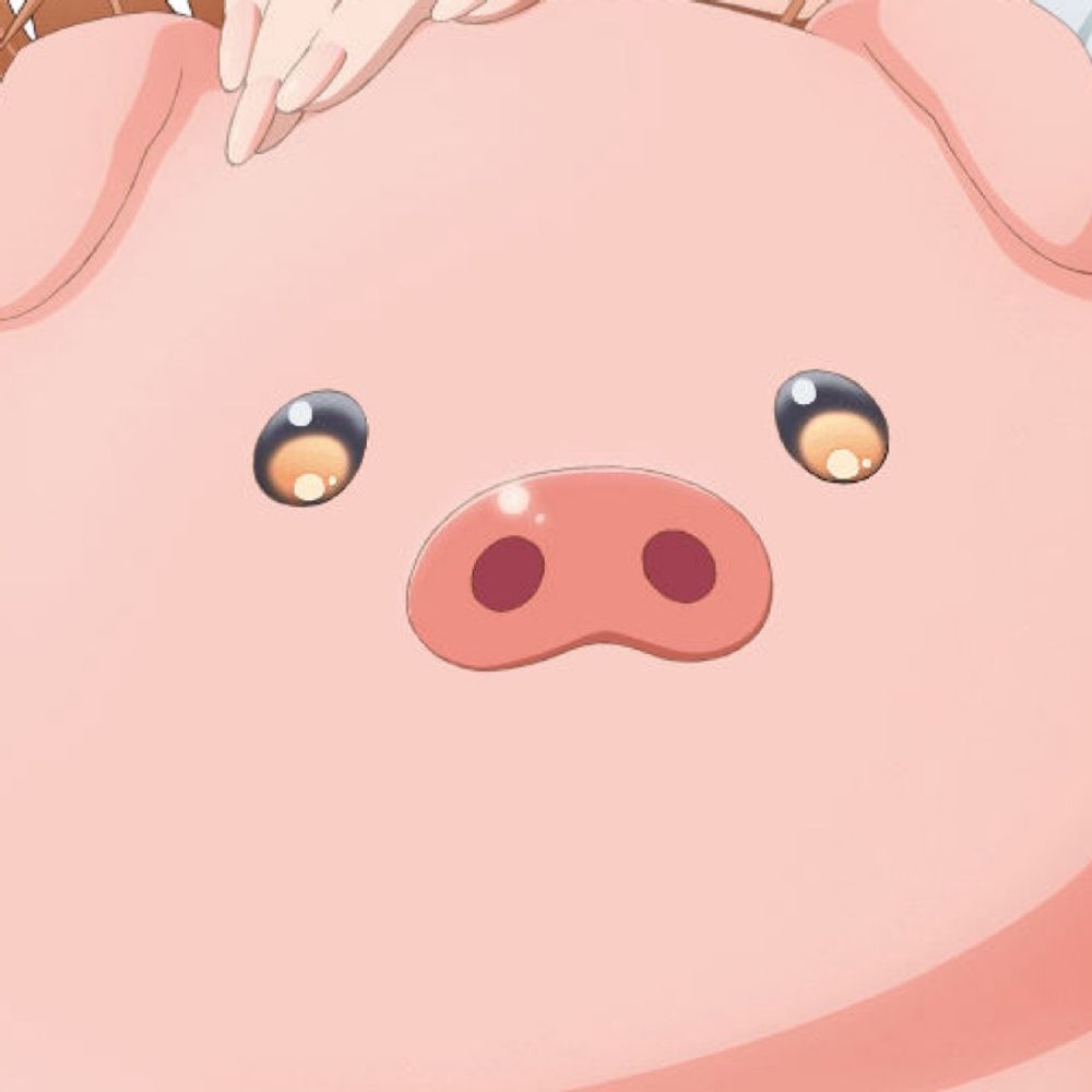 🐽