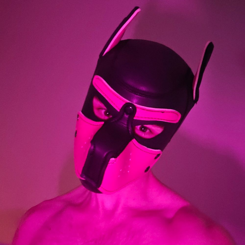 Pup FFlame