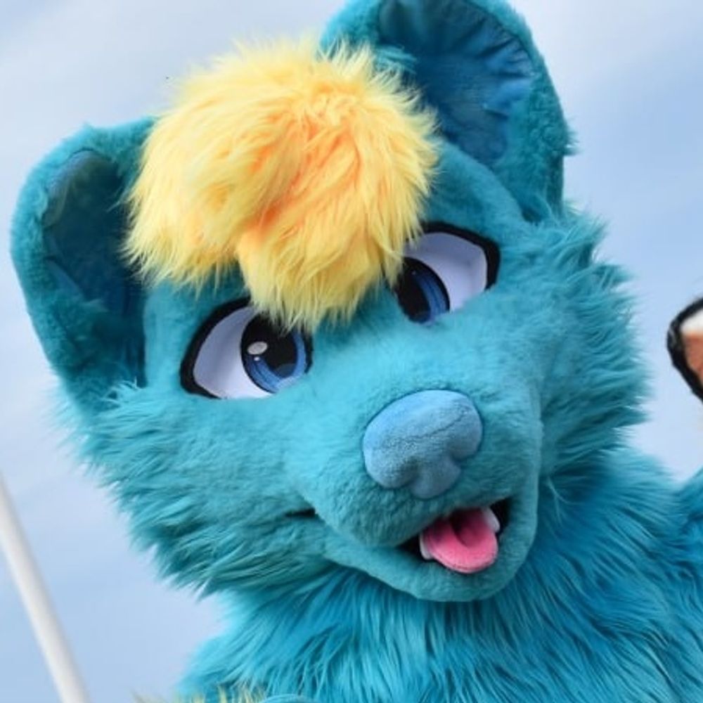 CorentinWolf