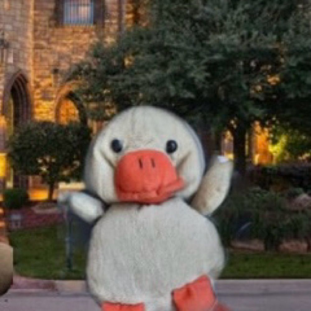Ducky