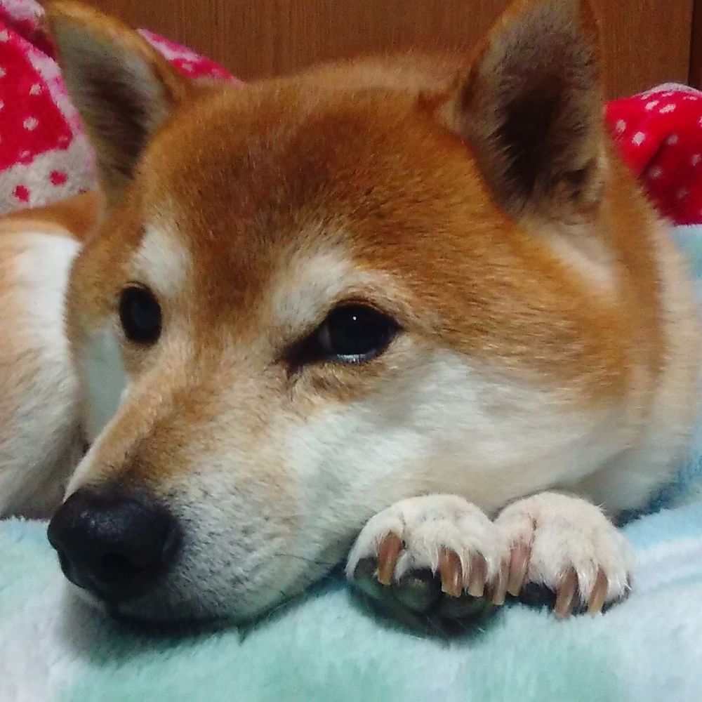 hiro