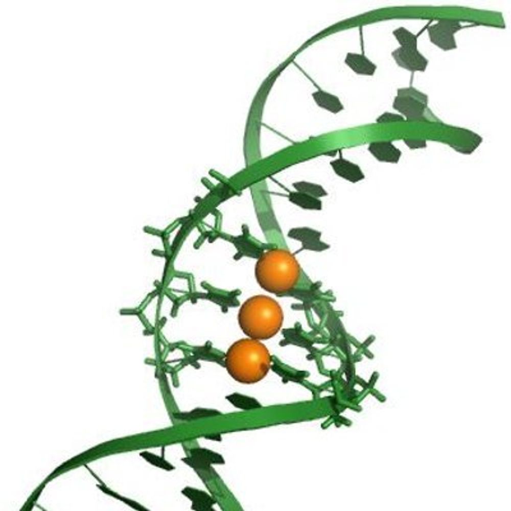 MüllerLab