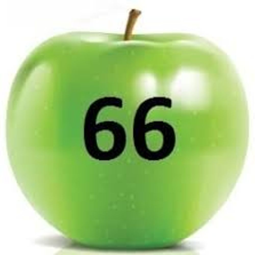 Manzana66