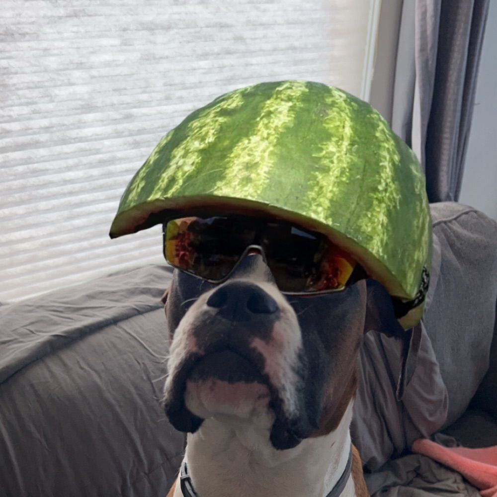 Max T
