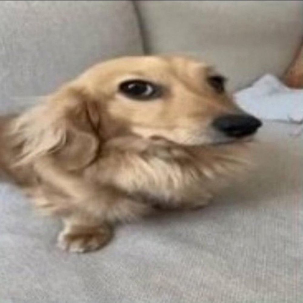Loh