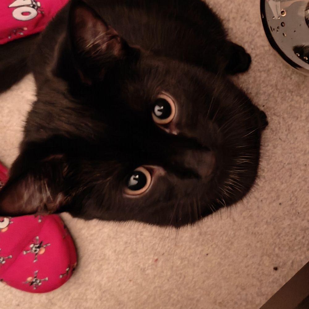 🖤Jake🖤