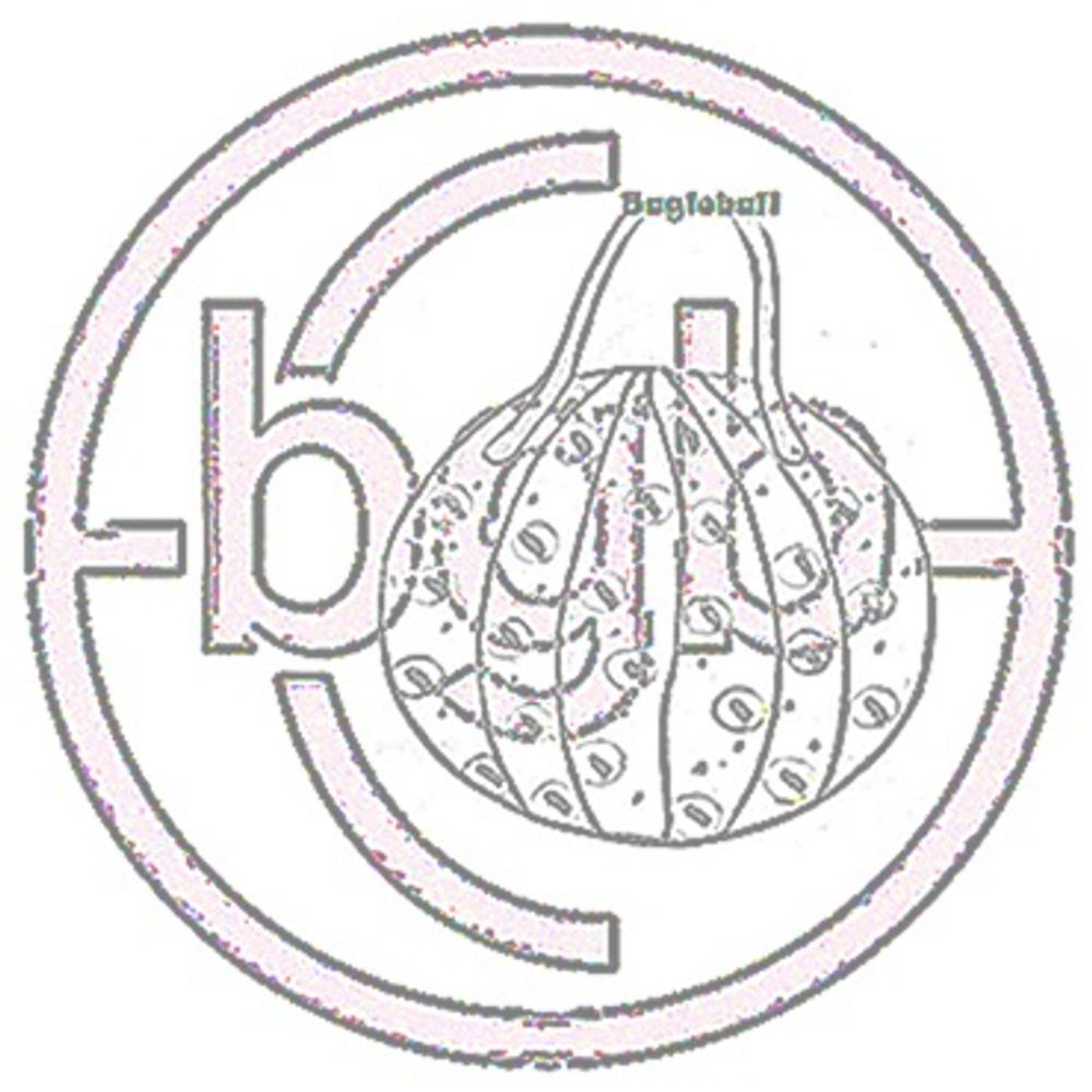 Bagloball