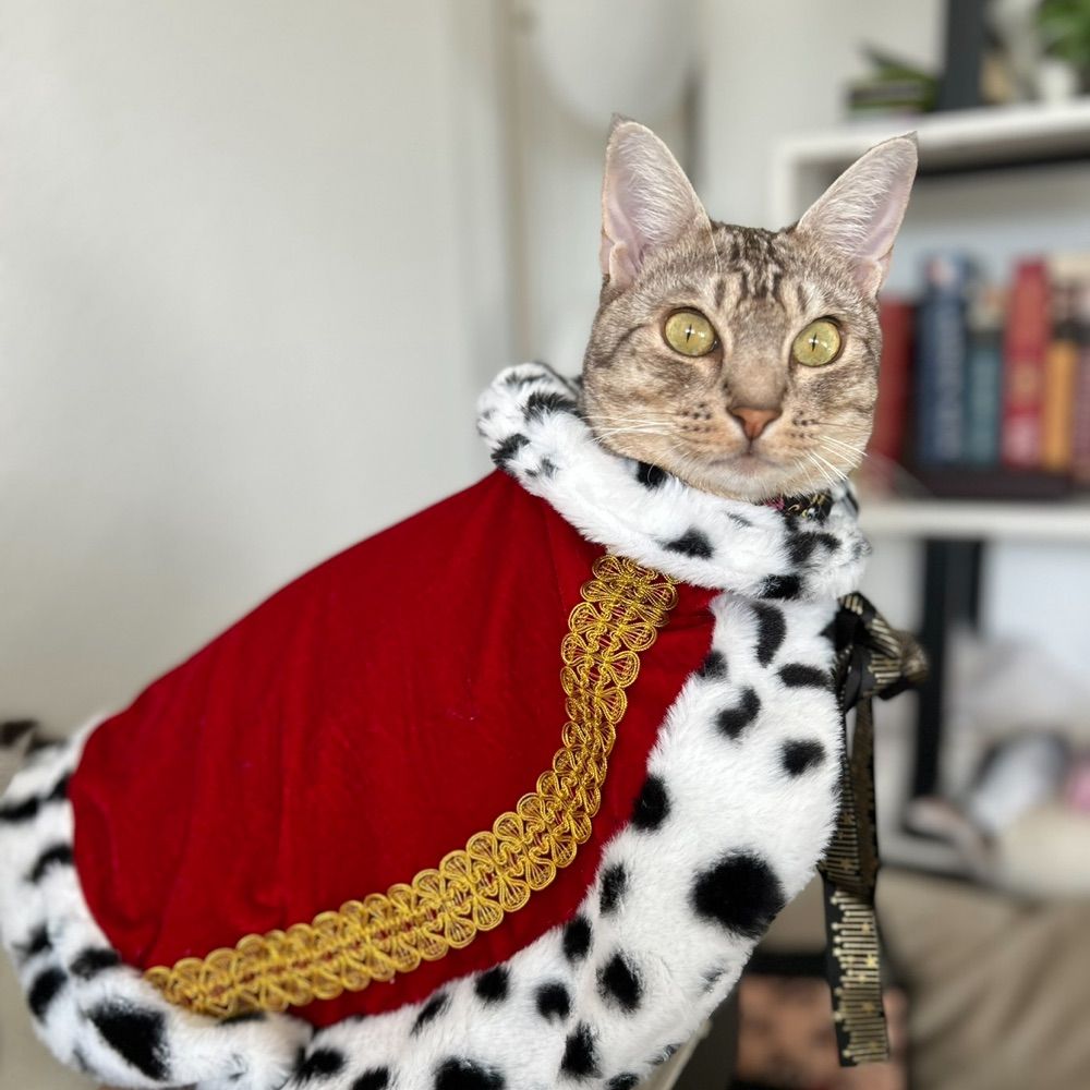 Loki in the wild