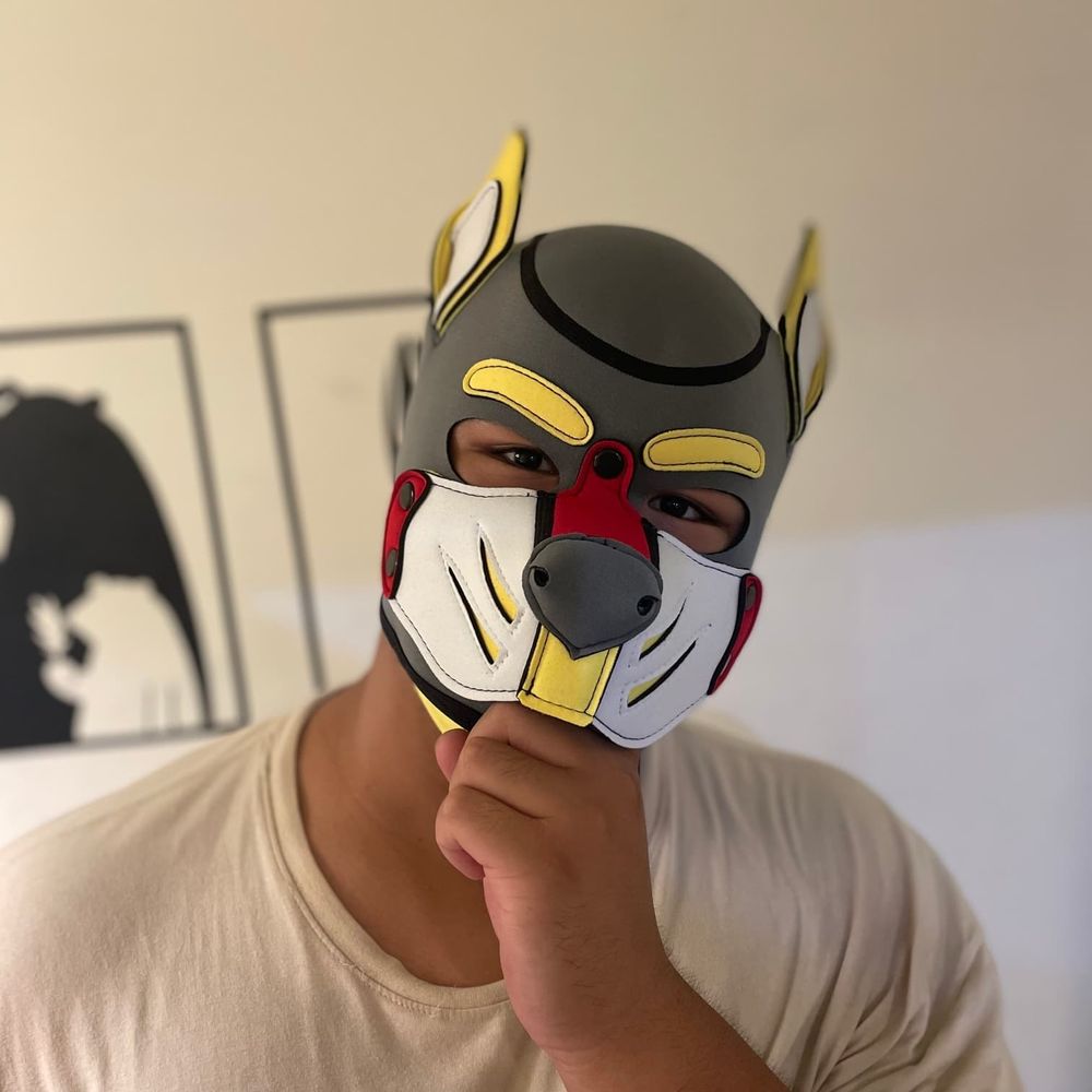 小揚（陽樹）