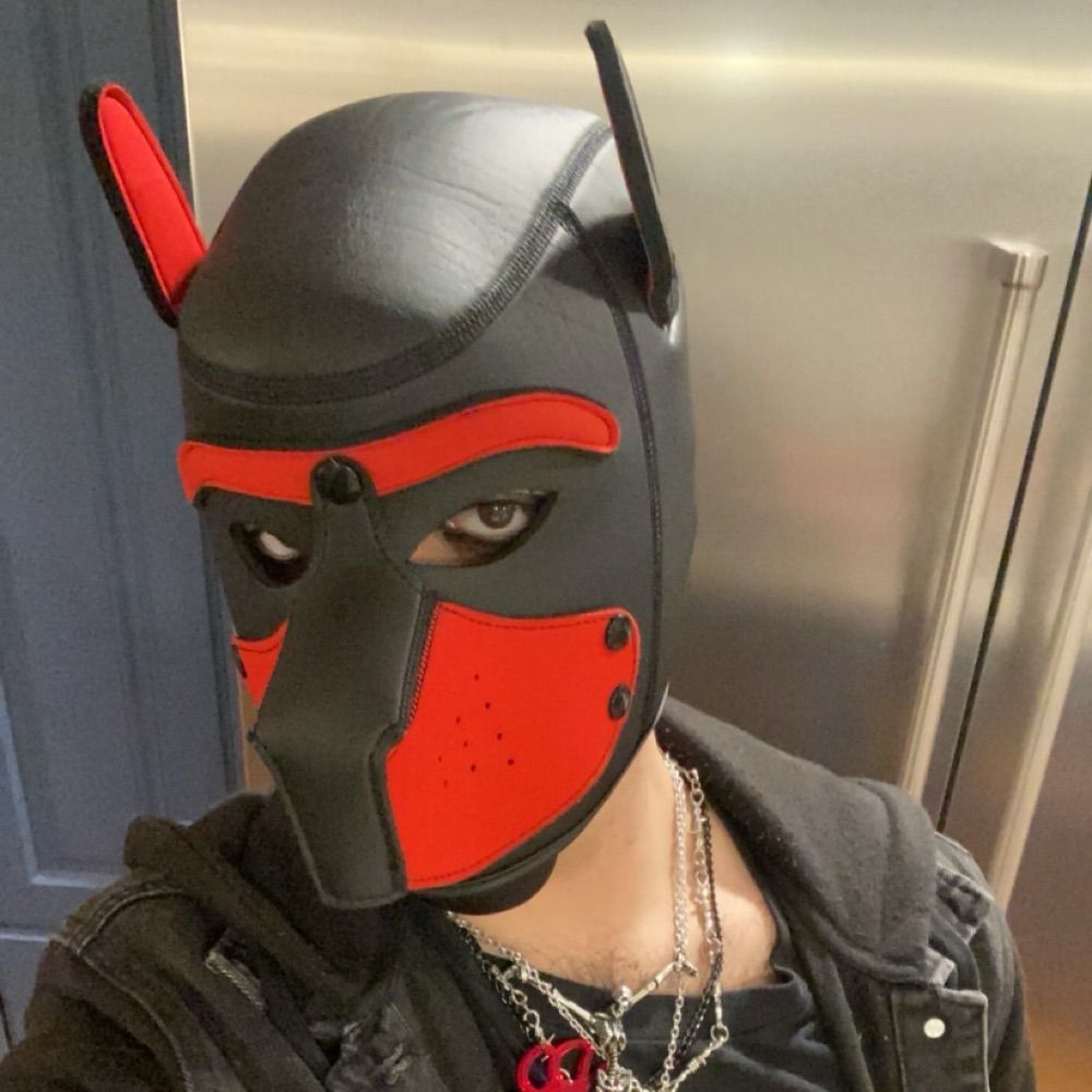RexWolf🐾🦴🐺🔞