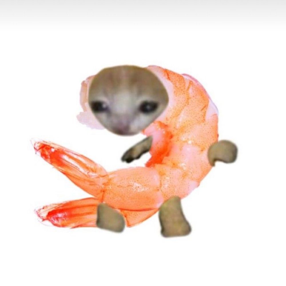 shrimp