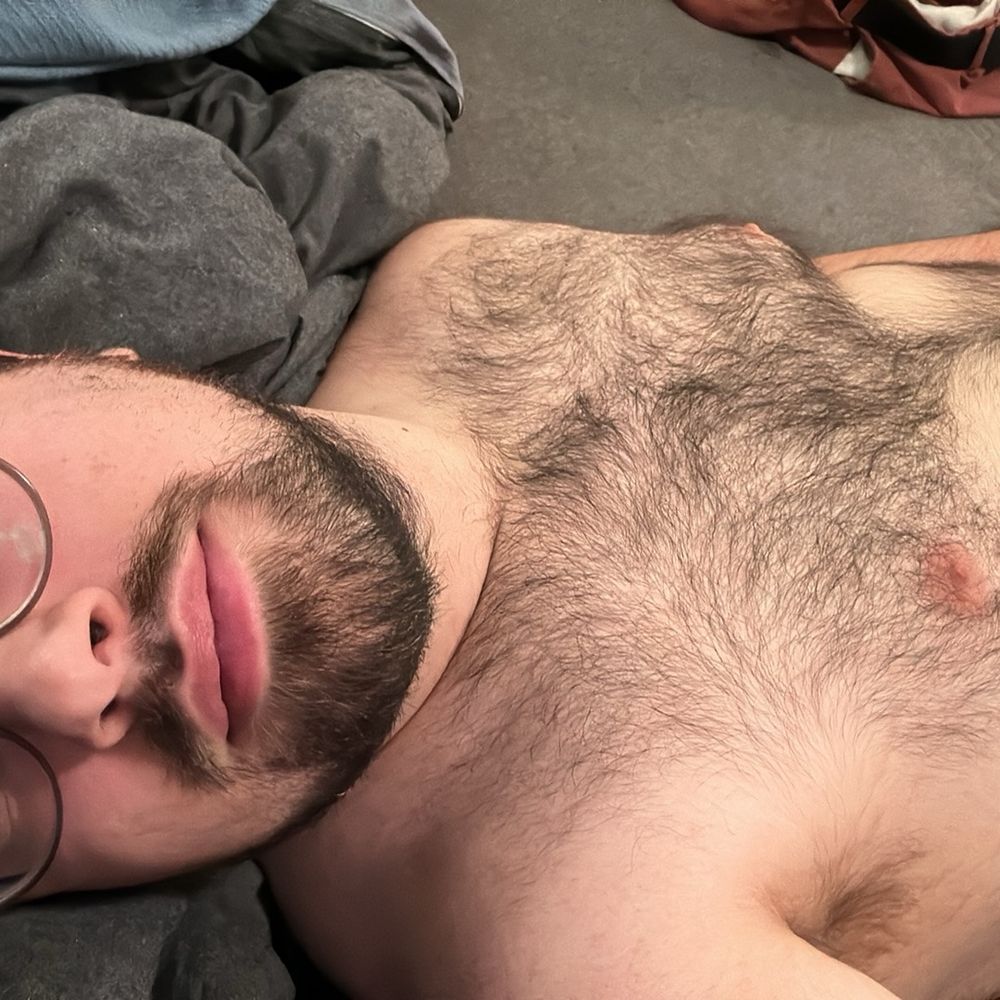 Cuddly Cub