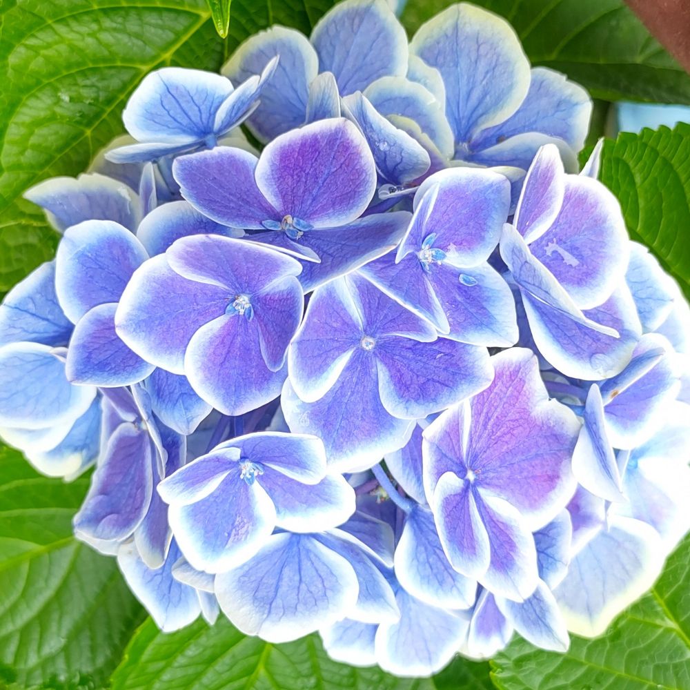 きてぃ