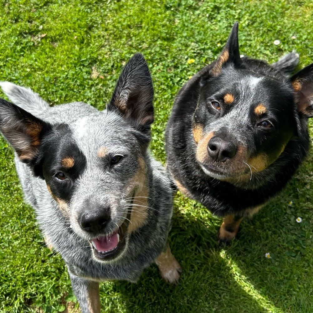 Bonnie and Skye