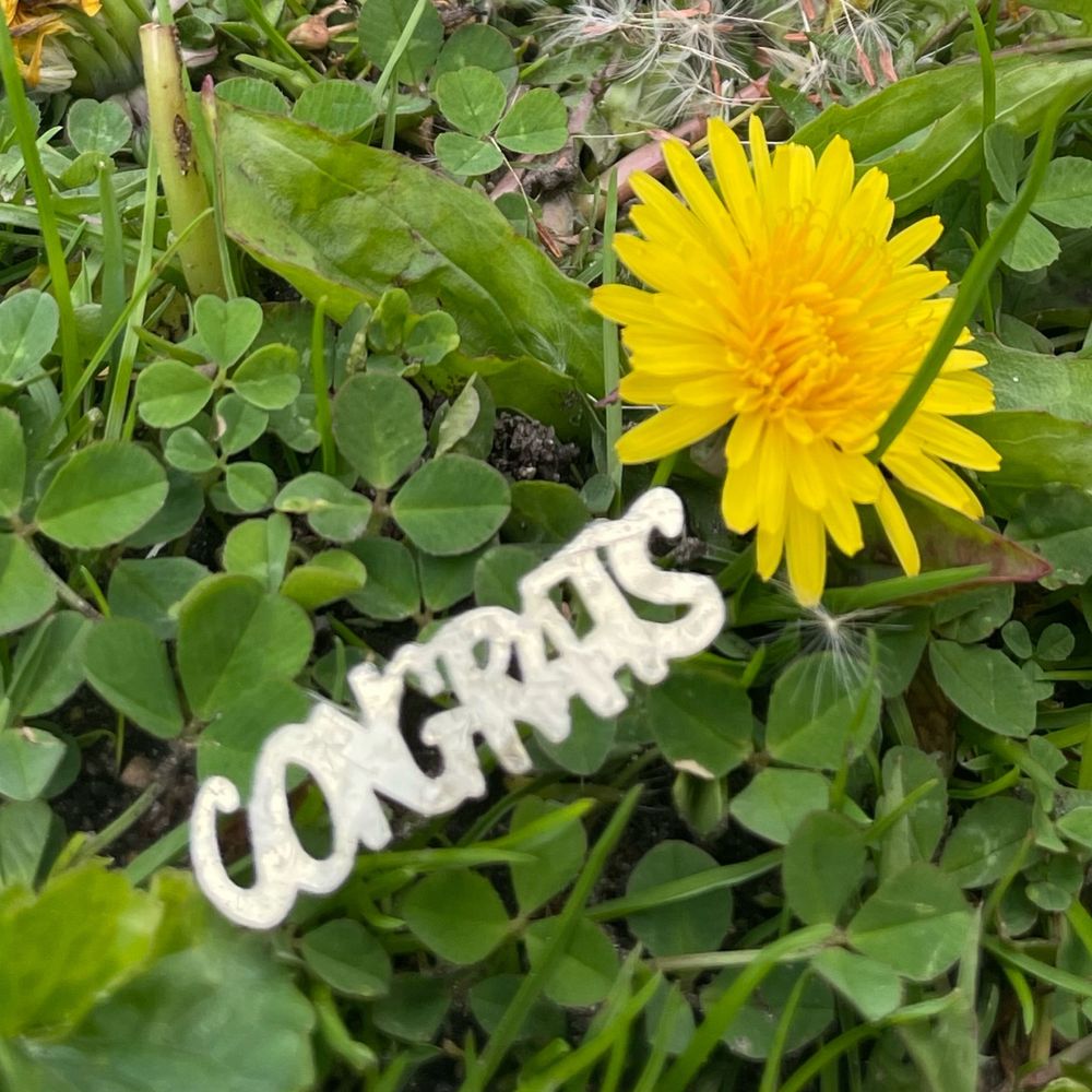 CONGRATS
