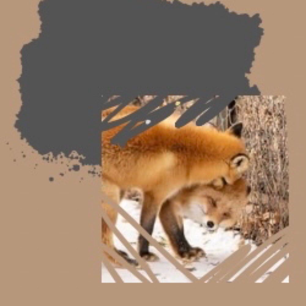 ぺるり